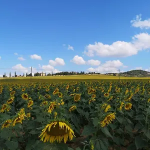 incantevole appartamento in borgo di campagna Appartamento